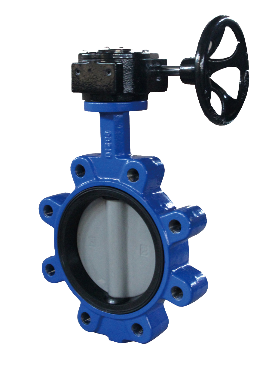 Butterfly Valve